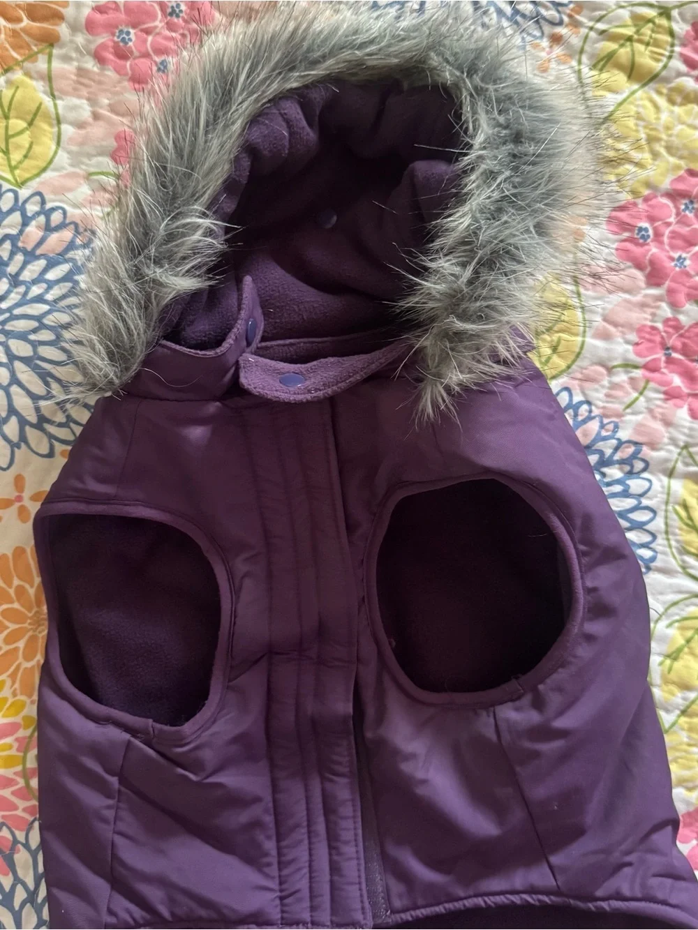 Canada Pooch size 18
